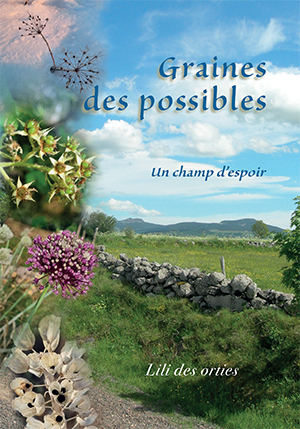 Couverture du livre « Graines des possibles » de Lili des orties, illustrant un paysage naturel paisible avec un muret en pierre, des fleurs sauvages et un ciel bleu lumineux. Une image inspirante évoquant l’espoir, la nature et un chemin vers la sérénité intérieure.